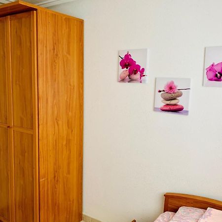 Apartamento Felix De La Fuente 또레비에하 외부 사진